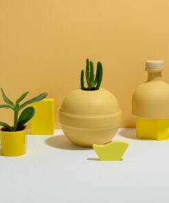 Lemon Set