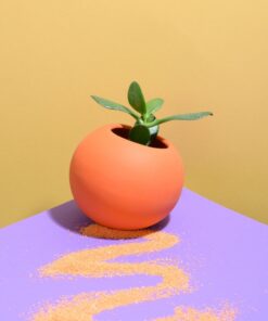 The Ball